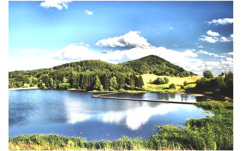 Leśny tor lub zjeżdżalnia wśród drzew